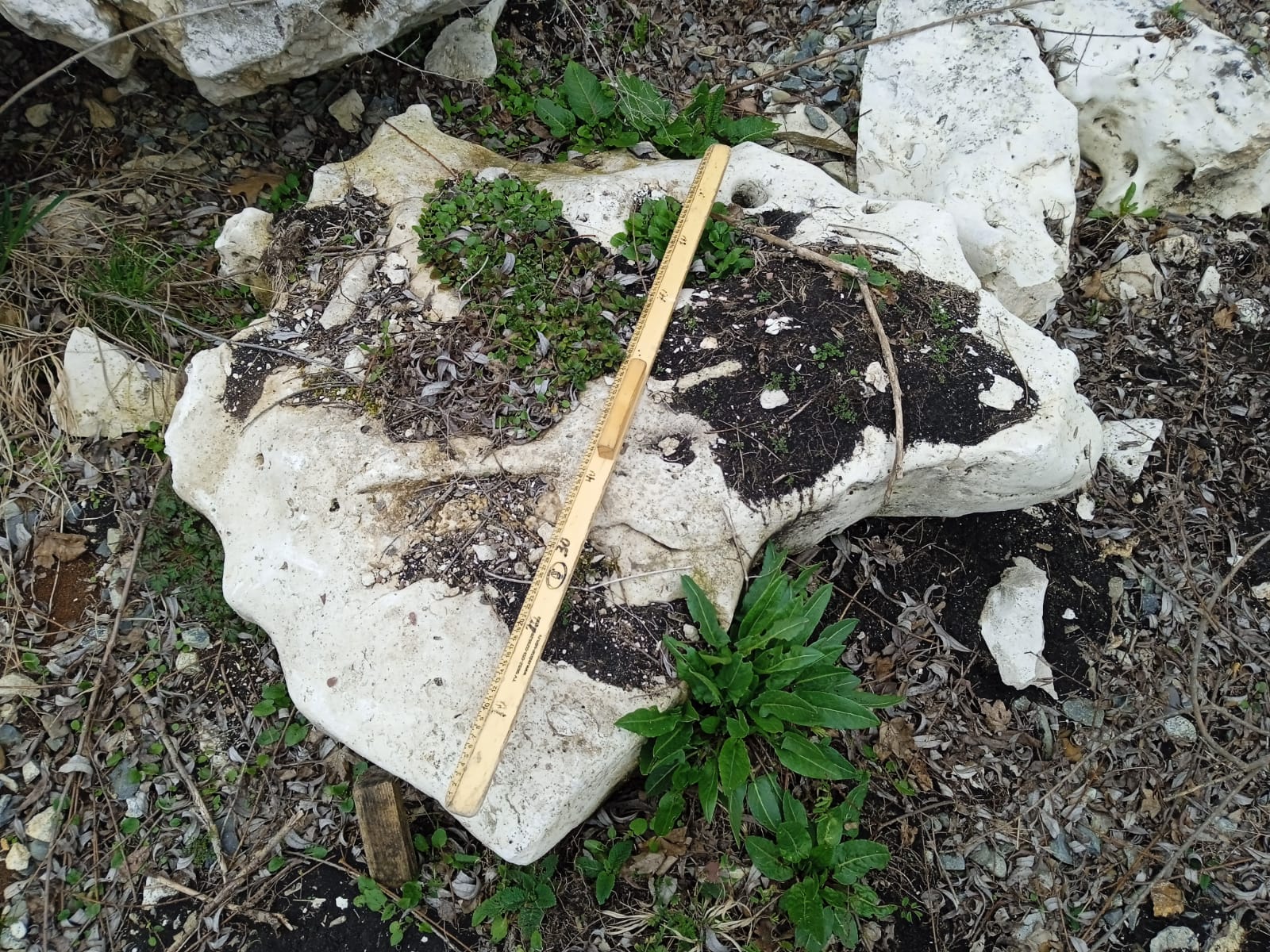  Выветренный известняк (степной) фр. 500-1500 мм.  купить в Москве    8 500 руб/т   фото 