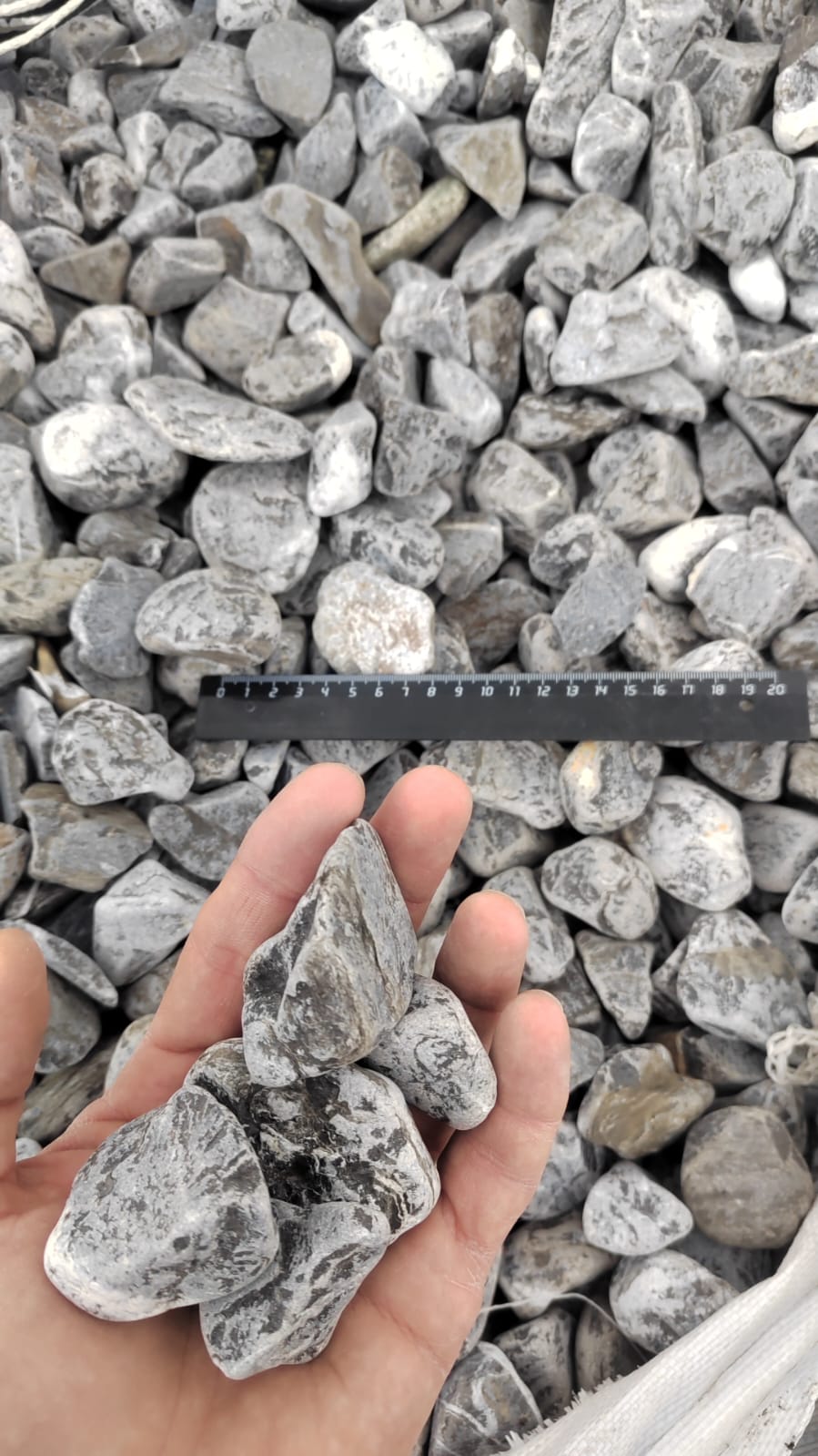  Черная галька (щебень галтованный черный мрамор) фр.40-70 мм.  купить  в Москве мрамор черный с белыми прожилками, черный, белый щебень галтованный округлый 13500 руб/т   фото 