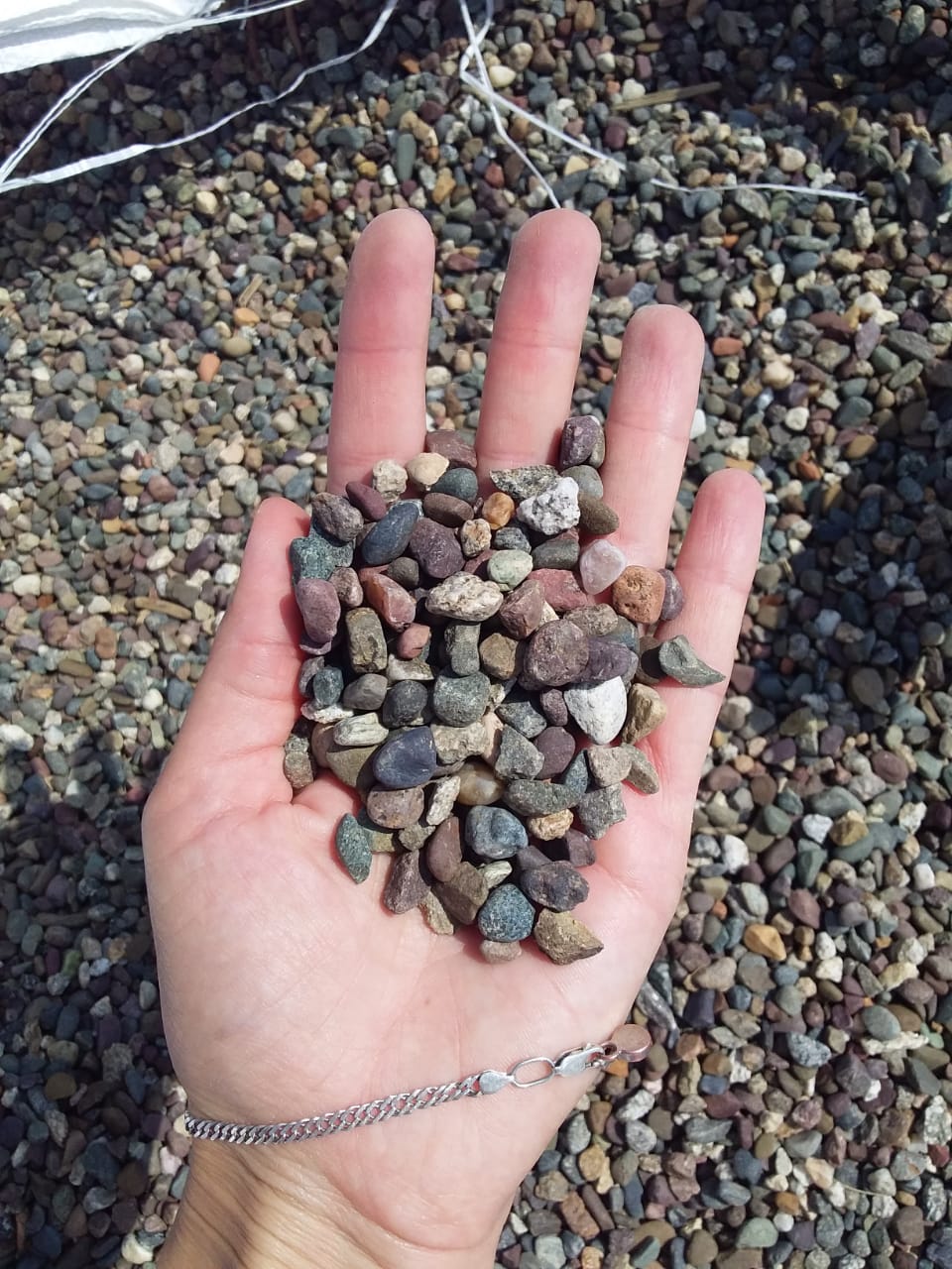  Галька речная окат цветная фр.5-10 мм. купить   в Москве галька речная белый, серый, красноватый, синий, темно-серый речная окатанная галька декоративная 5000 руб/т   фото 