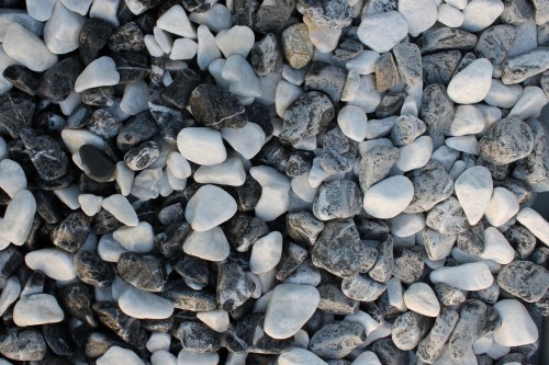  Микс шахматной гальки  (щебень галтованный микс:: белый-черный) фр.20-40 мм  купить  в Москве мрамор белый, черный мраморный галтованный щебень 14500 руб/т   фото 