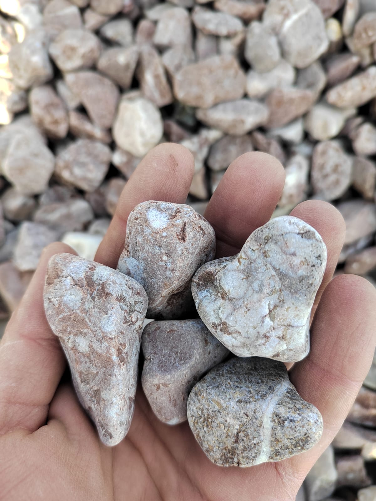  Розовая галька (щебень галтованный розовый) фр.20-40 мм.  купить  в Москве мрамор розовый, красный оголтованный округлый щебень  13500 руб/т   фото 