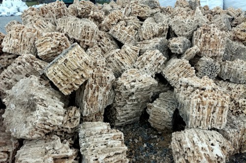  Крымский природный меотис фр. 100-500 мм.  купить в Москве меотис бежевый рыжий молочный желтый ракушечник 4 500 руб/т   фото 