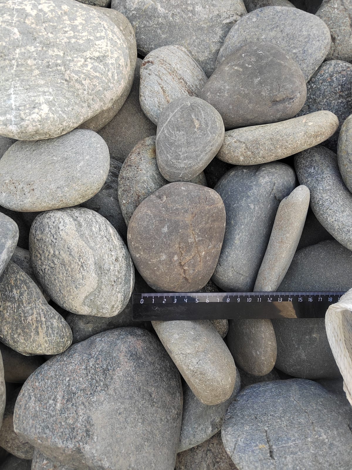 Kamenclub.ru: Галька речная плоская (ассорти) фр. 70-150 мм. купить   в  Москвегалька галечник серый белый темно-серый синий светло-серый плоская природная галька  6200 руб/т   фото КАМЕНЬ КЛУБ