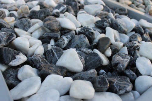  Микс шахматной гальки  (щебень галтованный микс:: белый-черный) фр.20-40 мм  купить  в Москве мрамор белый, черный мраморный галтованный щебень 14500 руб/т   фото 