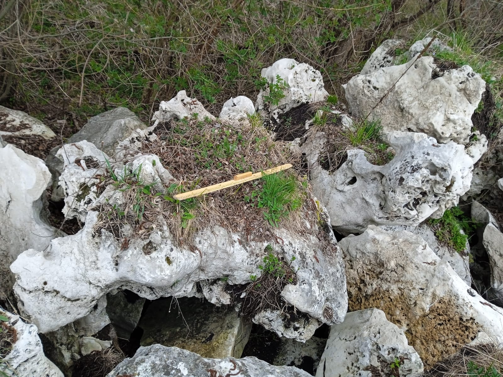  Выветренный известняк (степной) фр. 500-1500 мм.  купить в Москве    8 500 руб/т   фото 