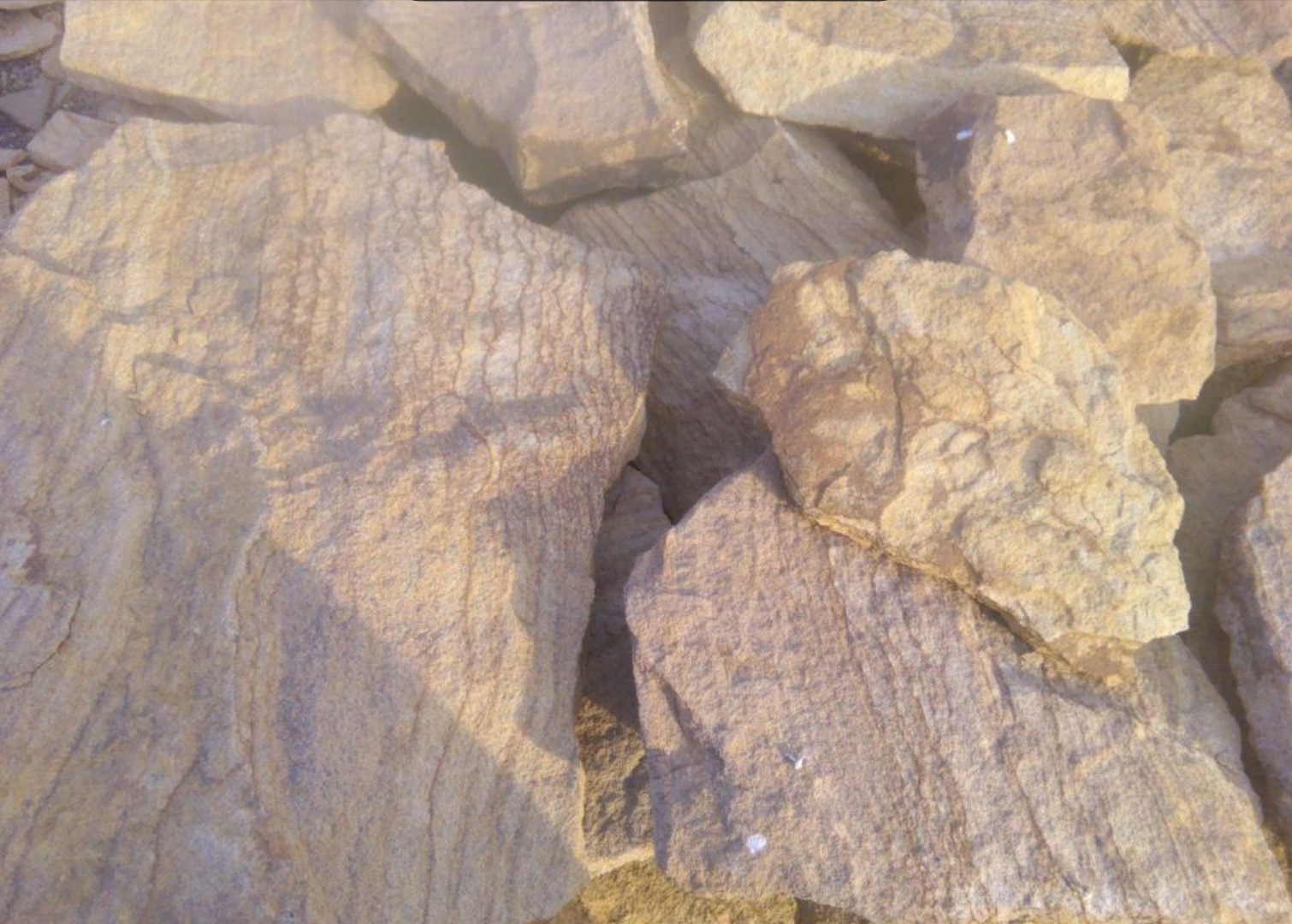 Песчаник пластушка "фонтанка" желтая (3,0 - 5,0 см)  купить  в Москве песчаник желтая, рыжий, желтый песчаник колотый рваный со сколом облицовочный 8 500 руб/м3   фото 